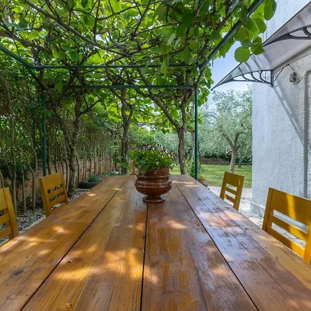 度假居 House Manuel In Tar