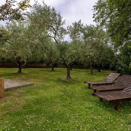 度假居 House Manuel In Tar Tar-Vabriga